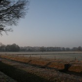 IMG_6842