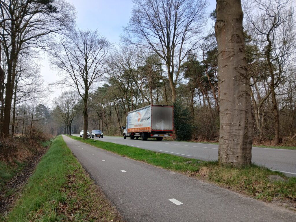 N303